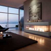 Bioetanolo, etanolo 80% Premium 2L (2x1L) - con effetto crep